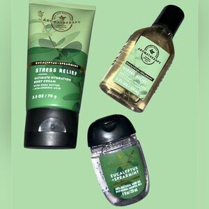 Bath and Body Works New Aromatherapy Stress Relief Mini Bundle Set